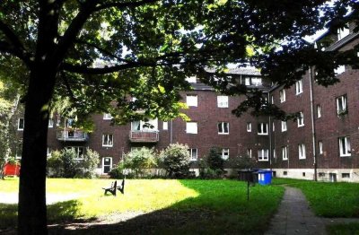 2,5 Zimmer Wohnung, großer Wohn- und Kochbereich, Bad und Gäste-WC, Grünanlage hinter dem Haus