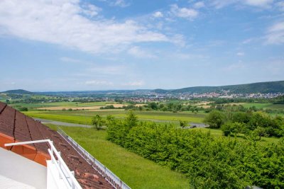Helle Dachgeschosswohnung mit großem Studio, Dachterrasse und hervorragender Aussicht