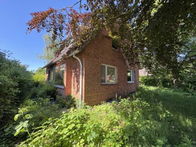 PROVISIONSFREI - Der Liether Wald als Nachbar!