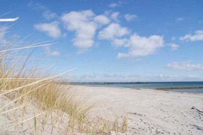 Ferienwohnung im Strandpark Großenbrode