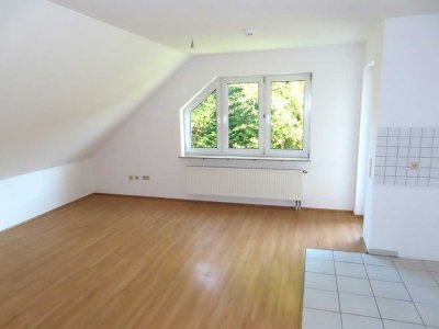 Renoviertes 1 Zimmer Apartment mit Balkon + Stellplatz in Niestetal-S.