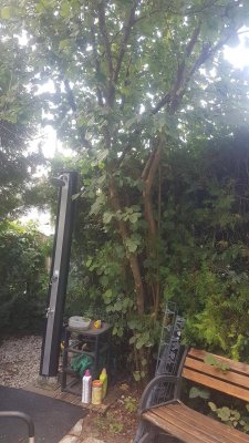(RESERVIERT) Sommerbungalow am See mit günstiger Pacht