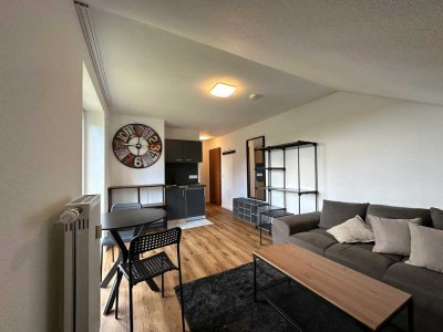 Möbliertes modernisiertes 1-Zimmer-Apartment mit EBK in Kaiserslautern