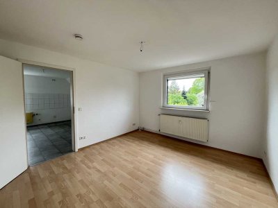 LEERE 2 ZI WOHNUNG MIT GARTEN - FERTIG ZUM EINZUG