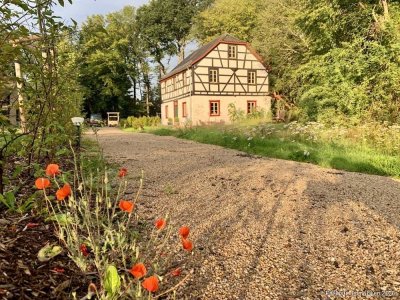 Houverath: Miete, freistehendes Haus 147 m², einzigartiges Wald-Wiesen-See-Grundstück 6.600 m² ...