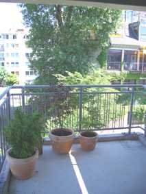 Helle 1-Zimmer-Wohnung mit Balkon in begehrter Lage der Kölner Südstadt