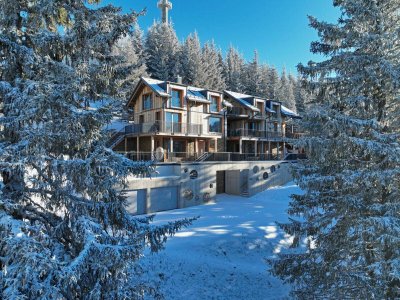 Chalet Picea - Mit den Gipfeln auf Augenhöhe - vom Pool auf die Piste (Kaufpreis zzgl. 20% USt.)