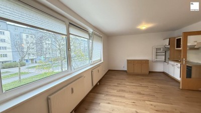 Starterwohnung / Singelhit: Garconniere nahe Donauspital zum Kaufen!