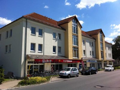 Sonnige 2-Raum-Wohnung frisch renoviert