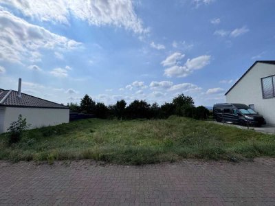 Schauernheim-Traumgrundstück mit 300 m², direkte Feldrandlage - Neubau Doppelhaushälfte
