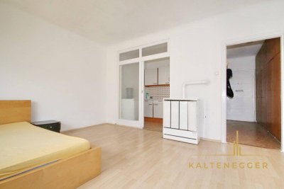 Ruhige 1-Zimmer-Wohnung direkt neben dem Botanischen Garten