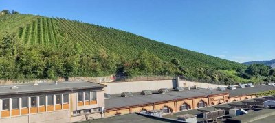 3-4-Zimmer-EG-Wohnung mit Terrasse