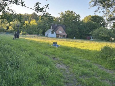 Idyllisch gelegenes Haus mit Pferdekoppel in der Nähe von Hamburg
