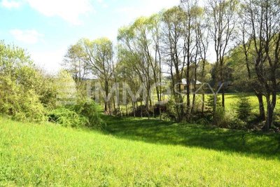 neuwertiger, kompakter Haustraum für Tierliebhaber - großes Grundstück