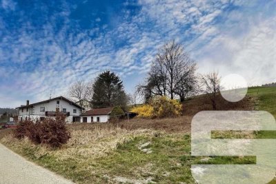 Digitales Angebotsverfahren - Sanierung oder Neubau