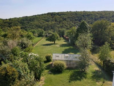 Erstbezug nach energetischer Sanierung mit Einbauküche und Balkon