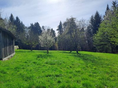 12.000 m² Alleinlage in Graz-Umgebung – mit Wohnhaus &amp; Nebengebäude