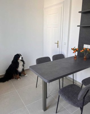 Wohnung für eine 4er-WG - Erstbezug nach Kernsanierung