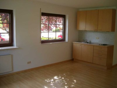 1-Zi. Single Wohnung , ideal für Wochenendheimfahrer