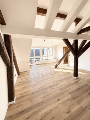 Stilvolle Loftwohnung über den Dächern Erlangens mit ca. 42 m² Dachterrasse