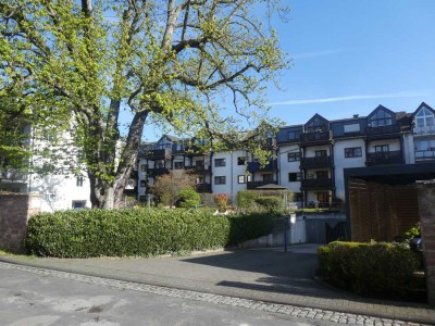 Gut aufgeteilte Wohnung mit Sonnenbalkon  in bester Lage Trier-Ost, unmittelbar am Palastgarten
