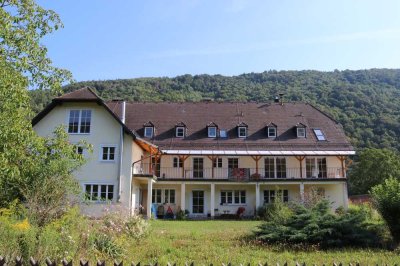 Helle 5-Zimmerwohnung mit Terrasse, großem Garten und Donaublick