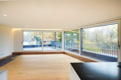 **Penthouse | Blick ins Grüne und die Berge**