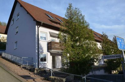 Frisch renoviertes 1-Zimmer-Apartment in Niederstetten