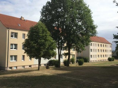 4-Raum-Wohnung in Passow