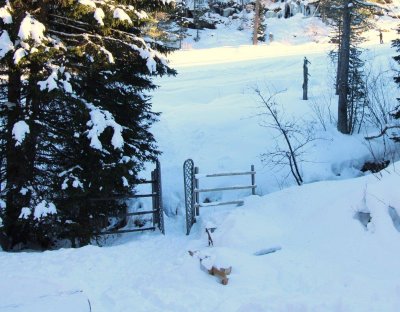Turracher Höhe- Natur Pur genießen - Almhütte/Berghütte - Skifahren - Wandern in absoluter Traumlage