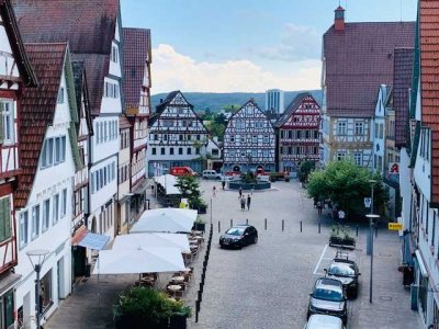 3 Zimmer Stadt-Wohnung im Herzen von Leonberg inkl. einem separaten ca. 17 Ar Gartengrundstück