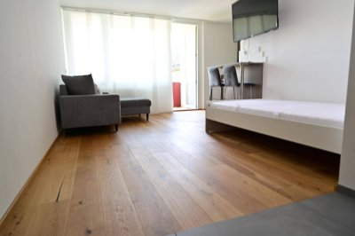 ITZLING I Komplett möblierte Design-Garconniere mit sonnigem Balkon nahe Techno-Z/Bahnhof