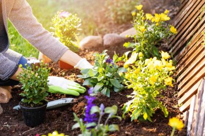 Für Gartenfreunde: sonnige 3-Zimmer-Wohnung mit Terrasse und großer Gartenfläche