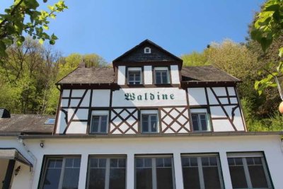 Großes Landhaus mit tollem Moselblick!!