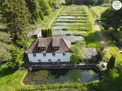 Wasserreiches Naturjuwel in Alleinlage bei Ochsenhausen – 6,3 ha großes Anwesen mit 42 Fischbecken