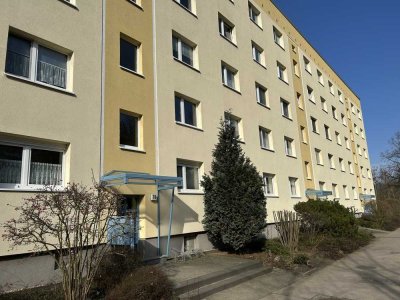 PROVISIONSFREI & BEZUGSFREI - 1-Zimmer Wohnung nahe Filmpark Babelsberg