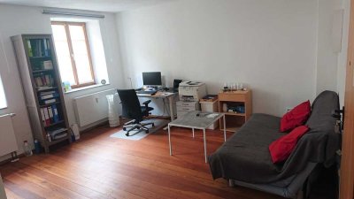 Wunderschöne sanierte 2-Zimmer Wohnung im Erdgeschoss nahe Universität Landau