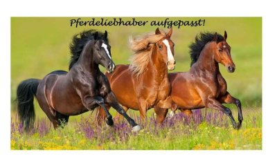 Exklusives Anwesen in Traumlage für Pferdeliebhaber am Rande des Naturschutzgebietes der Haard !!!