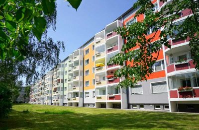 Schöne 3-Raum-Wohnung in der Nähe vom Berzdorfer See!