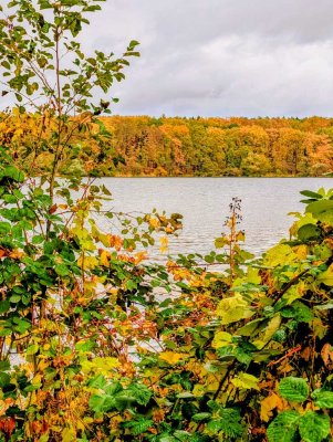 Ein traumhaftes Haus  am Jungfernsee in Potsdam