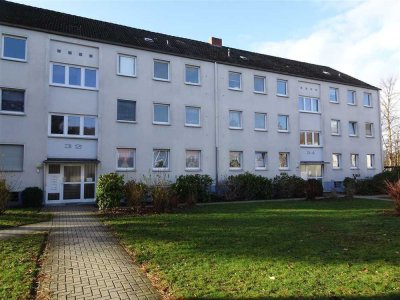 3 Zimmer Wohnung - zentral gelegen