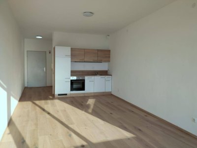 Privat zu vermieten: Geräumige Garconniere mit Balkon