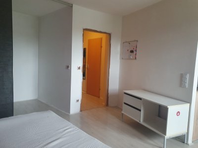 Einsteiger Wohnung 400€ kalt, Mietwohnung in Inzersdorf