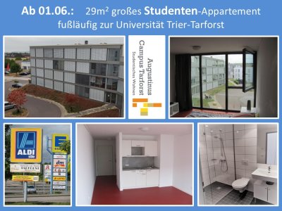 Ab 01.06.:  29m2 großes Studenten m/w/d - Appartement in Trier, Uni-Nähe