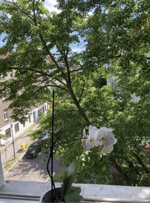 Helles ca. 22m2 großes WG Zimmer in Mädels WG super zentrale Lage in Lichtenberg