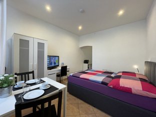 1,5 Zimmer Ferienapartment komplett möbliert - Konstanz Uninähe