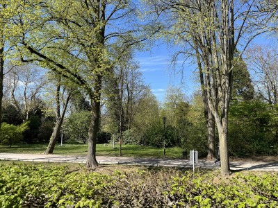 Traumwohnung am Park an der Düssel