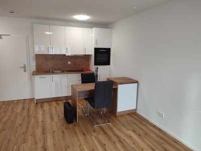 Heilbronn Innenstadt. Teilmöbliertes 2-Zi. Appartement mit Loggia und neuer Einbauküche
