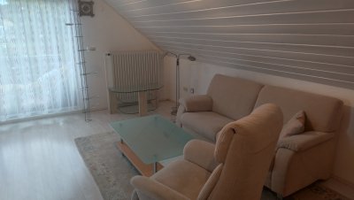 Gemütliche Einzimmerwohnung