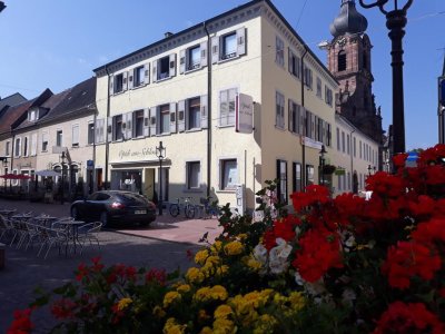 Rastatt - Mitte: ab 01.05.2023 Möbliertes WG-Zimmer inkl. WLAN
